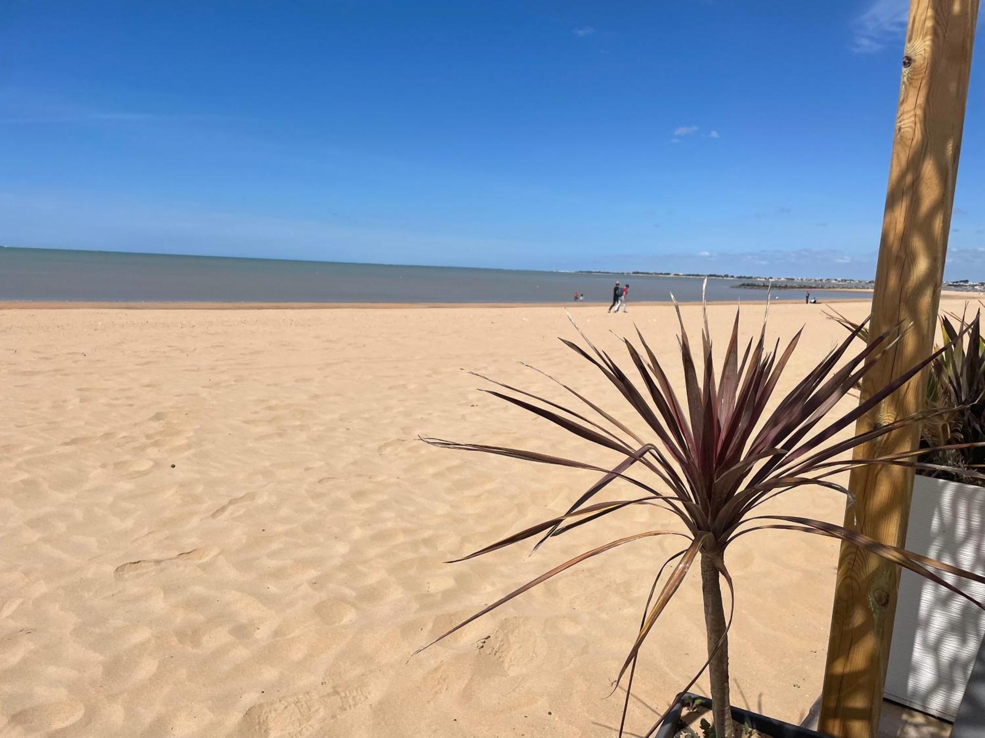 Acadie Saint Victor - Hotel Restaurant - Face Mer - Chatelaillon Plage Exteriér fotografie